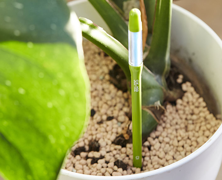Un avisador de riego que indica cuándo la planta precisa agua 